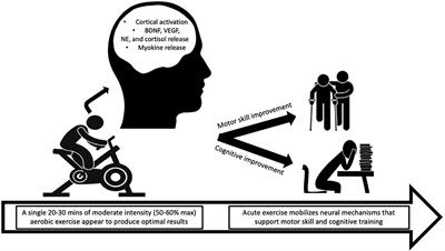 Acute Aerobic Exercise Based Cognitive and Motor Priming: Practical Applications and Mechanisms